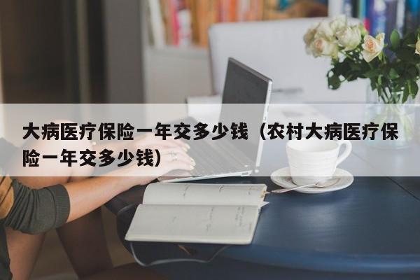 大病医疗保险一年交多少钱（农村大病医疗保险一年交多少钱）