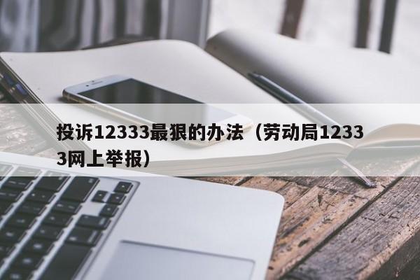 投诉12333最狠的办法（劳动局12333网上举报）