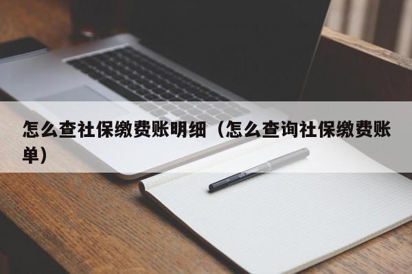 怎么查社保缴费账明细（怎么查询社保缴费账单）