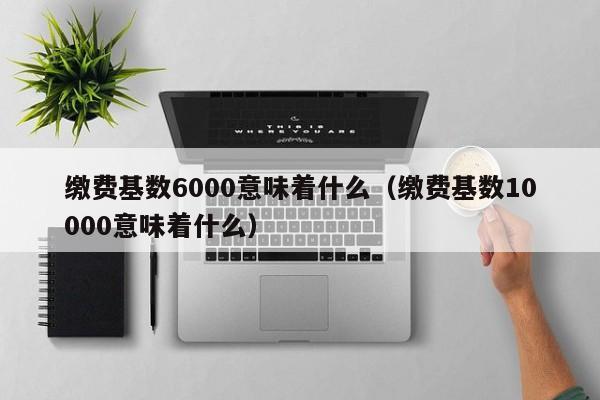 缴费基数6000意味着什么（缴费基数10000意味着什么）