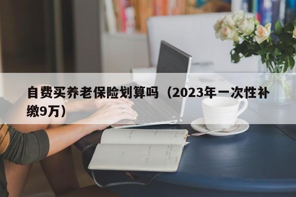 自费买养老保险划算吗（2023年一次性补缴9万）