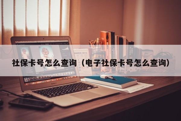 社保卡号怎么查询（电子社保卡号怎么查询）