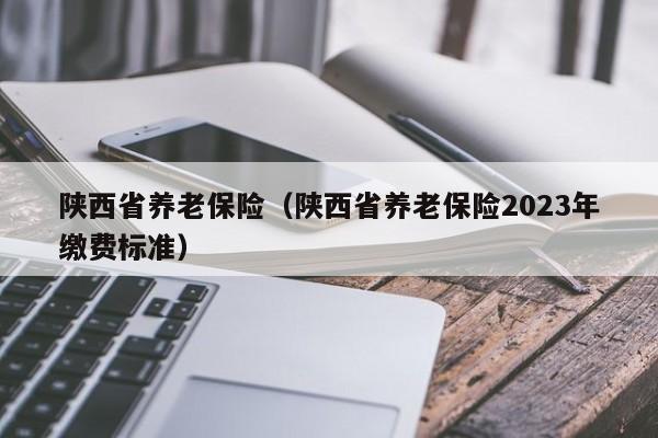 陕西省养老保险（陕西省养老保险2023年缴费标准）