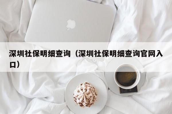 深圳社保明细查询（深圳社保明细查询官网入口）