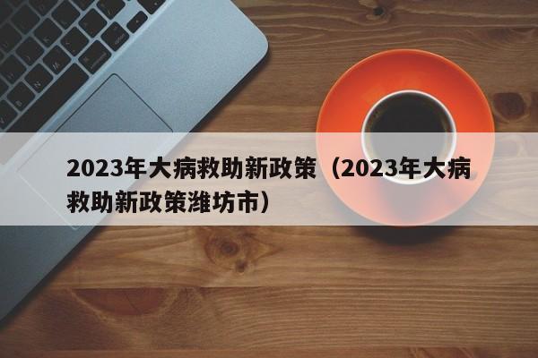 2023年大病救助新政策（2023年大病救助新政策潍坊市）