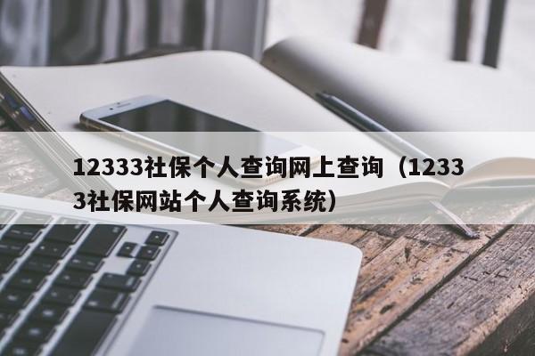 12333社保个人查询网上查询（12333社保网站个人查询系统）