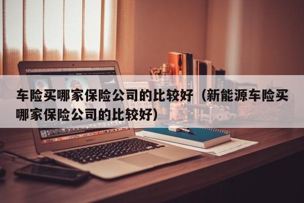 车险买哪家保险公司的比较好（新能源车险买哪家保险公司的比较好）