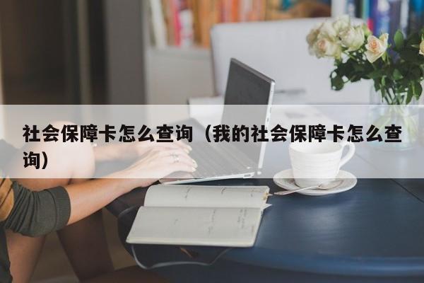 社会保障卡怎么查询（我的社会保障卡怎么查询）