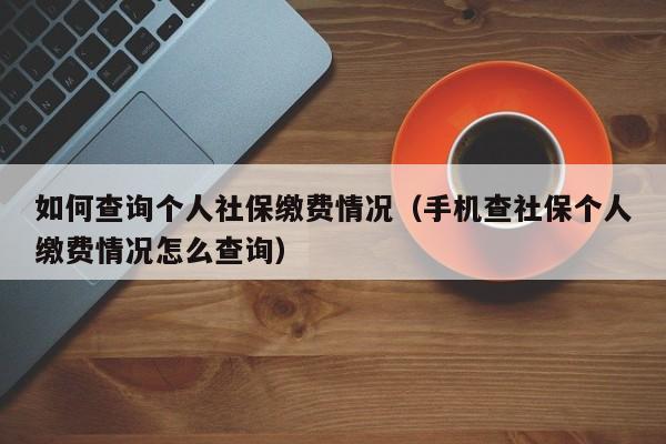 如何查询个人社保缴费情况（手机查社保个人缴费情况怎么查询）