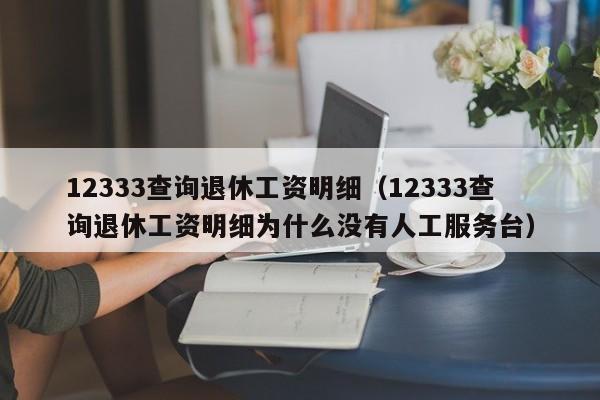 12333查询退休工资明细（12333查询退休工资明细为什么没有人工服务台）