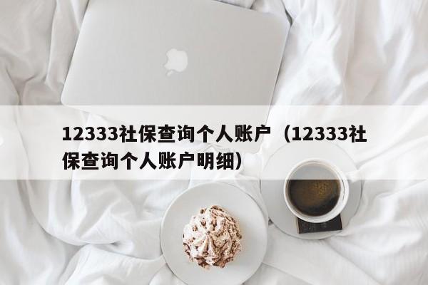 12333社保查询个人账户（12333社保查询个人账户明细）