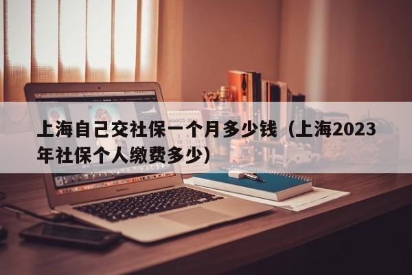 上海自己交社保一个月多少钱（上海2023年社保个人缴费多少）