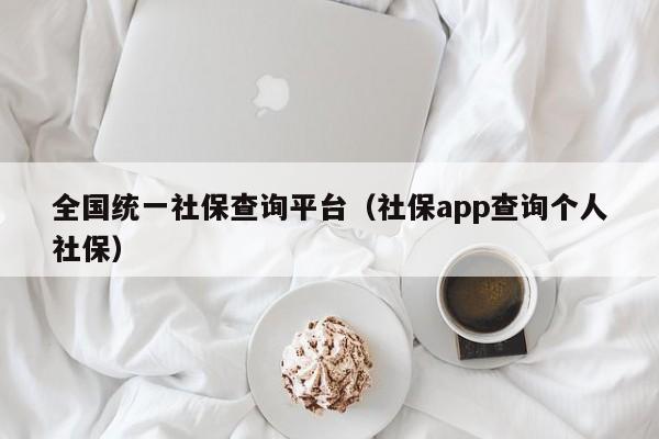 全国统一社保查询平台（社保app查询个人社保）