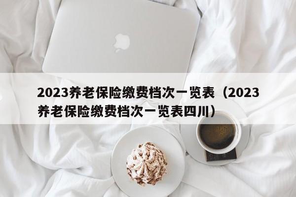 2023养老保险缴费档次一览表（2023养老保险缴费档次一览表四川）