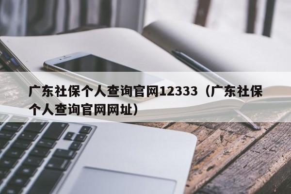 广东社保个人查询官网12333（广东社保个人查询官网网址）