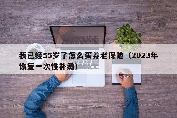 我已经55岁了怎么买养老保险（2023年恢复一次性补缴）