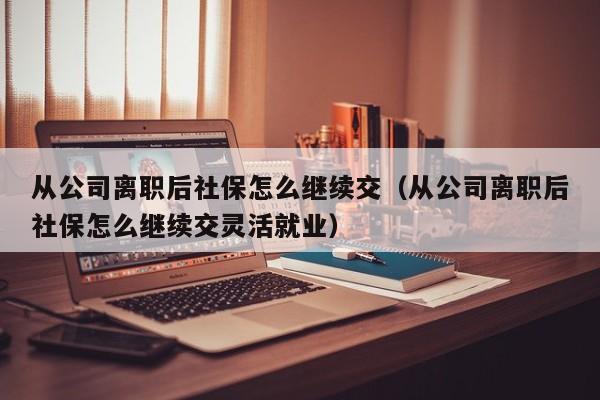 从公司离职后社保怎么继续交（从公司离职后社保怎么继续交灵活就业）