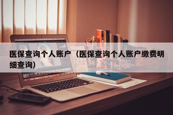 医保查询个人账户（医保查询个人账户缴费明细查询）