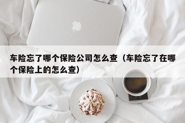 车险忘了哪个保险公司怎么查（车险忘了在哪个保险上的怎么查）