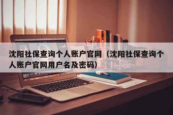 沈阳社保查询个人账户官网（沈阳社保查询个人账户官网用户名及密码）