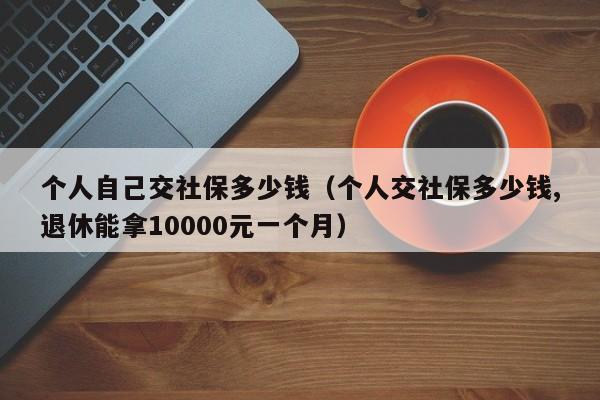 个人自己交社保多少钱（个人交社保多少钱,退休能拿10000元一个月）