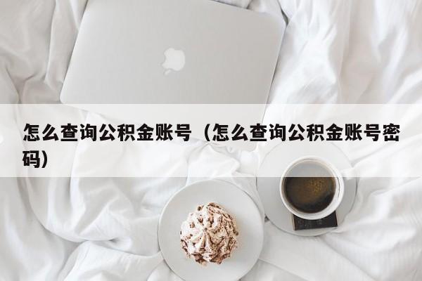 怎么查询公积金账号（怎么查询公积金账号密码）