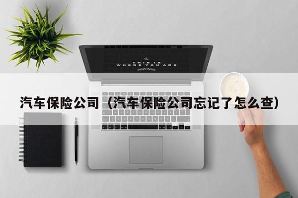 汽车保险公司（汽车保险公司忘记了怎么查）