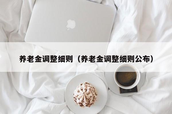 养老金调整细则（养老金调整细则公布）