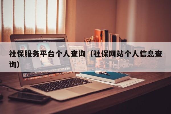 社保服务平台个人查询（社保网站个人信息查询）