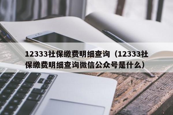 12333社保缴费明细查询（12333社保缴费明细查询微信公众号是什么）