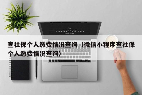 查社保个人缴费情况查询（微信小程序查社保个人缴费情况查询）