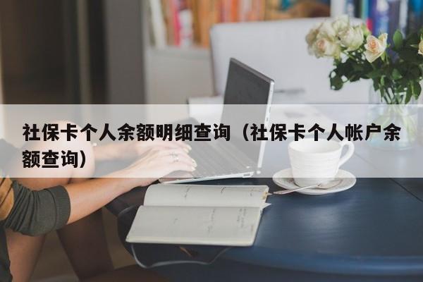 社保卡个人余额明细查询（社保卡个人帐户余额查询）