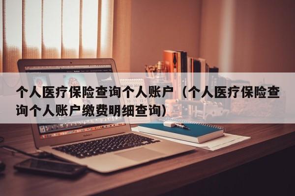 个人医疗保险查询个人账户（个人医疗保险查询个人账户缴费明细查询）