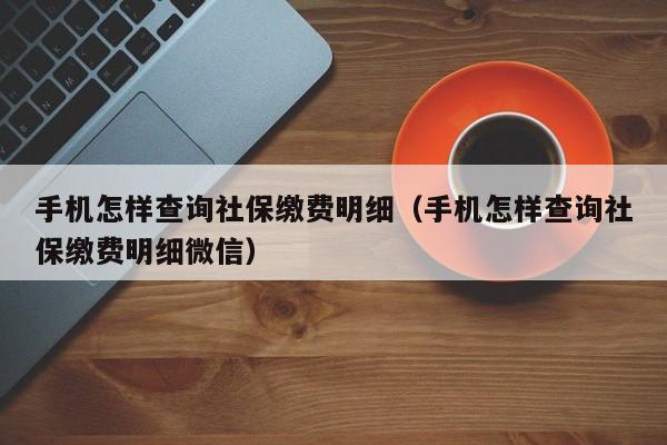 手机怎样查询社保缴费明细（手机怎样查询社保缴费明细微信）