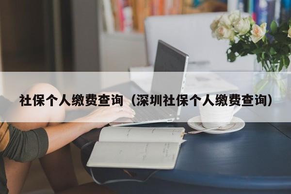 社保个人缴费查询（深圳社保个人缴费查询）