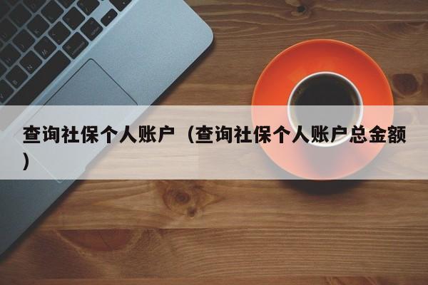 查询社保个人账户（查询社保个人账户总金额）