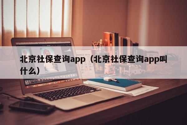 北京社保查询app（北京社保查询app叫什么）