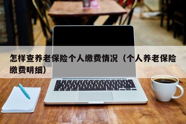 怎样查养老保险个人缴费情况（个人养老保险缴费明细）