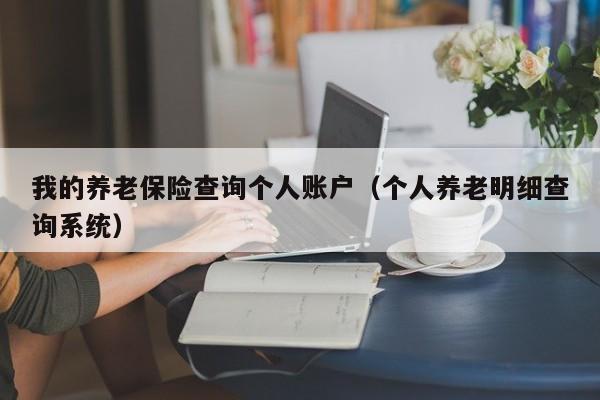 我的养老保险查询个人账户（个人养老明细查询系统）