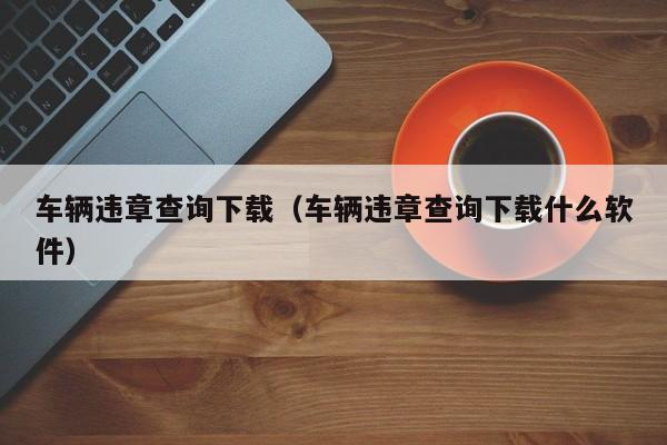 车辆违章查询下载（车辆违章查询下载什么软件）