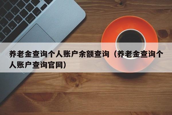 养老金查询个人账户余额查询（养老金查询个人账户查询官网）