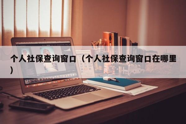 个人社保查询窗口（个人社保查询窗口在哪里）