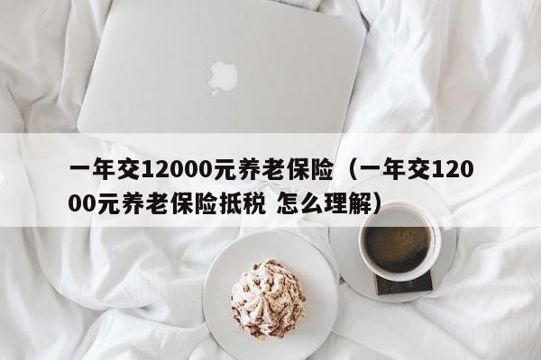 一年交12000元养老保险（一年交12000元养老保险抵税 怎么理解）