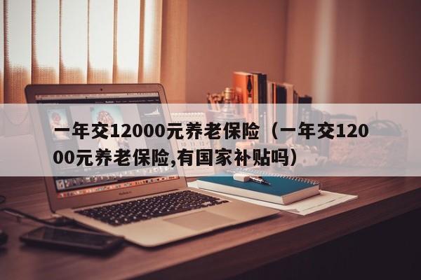 一年交12000元养老保险（一年交12000元养老保险,有国家补贴吗）