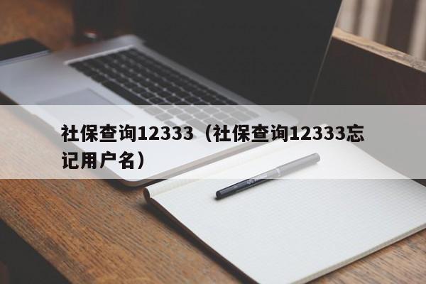 社保查询12333（社保查询12333忘记用户名）