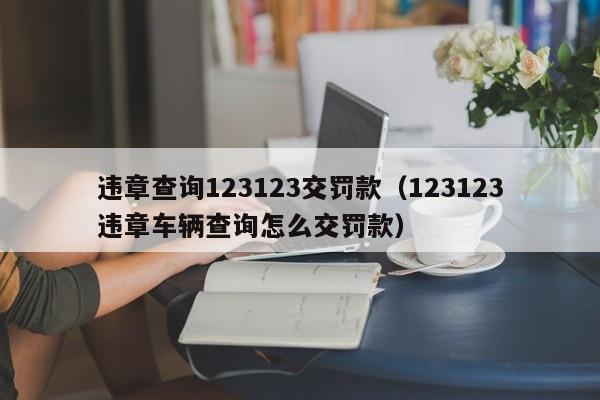 违章查询123123交罚款（123123违章车辆查询怎么交罚款）