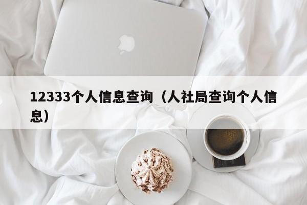 12333个人信息查询（人社局查询个人信息）