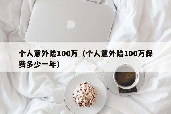 个人意外险100万（个人意外险100万保费多少一年）