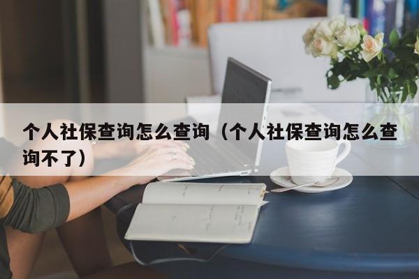 个人社保查询怎么查询（个人社保查询怎么查询不了）