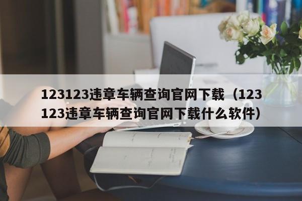 123123违章车辆查询官网下载（123123违章车辆查询官网下载什么软件）